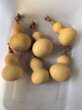 �����B�����J���B�����J�����B�����ֹ���ľ��ľ�����J