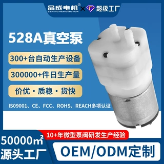 工厂定制528A按摩器微型静音真空泵 12v电动耐磨补水仪充气增压泵