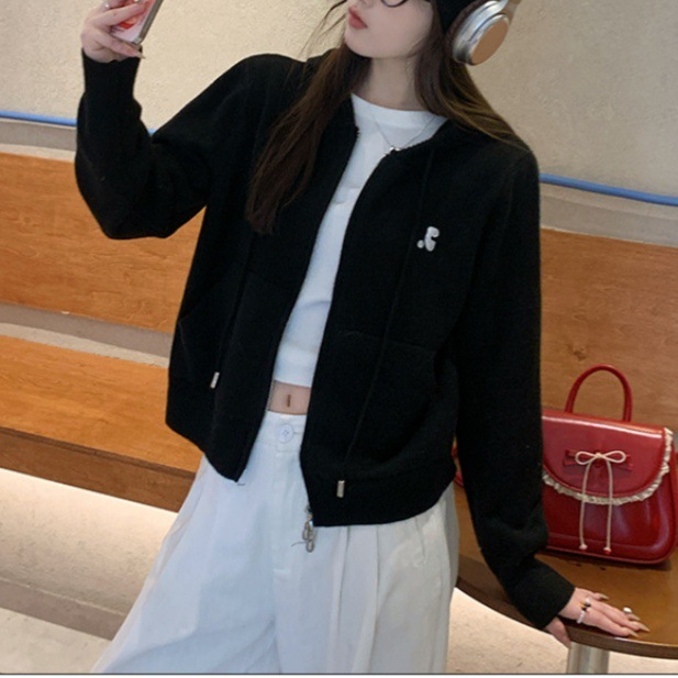ニットカーディガン 2025 新しいセータージャケット春の女性の初春韓国スタイルの小さな服フード付きトップス女性|undefined