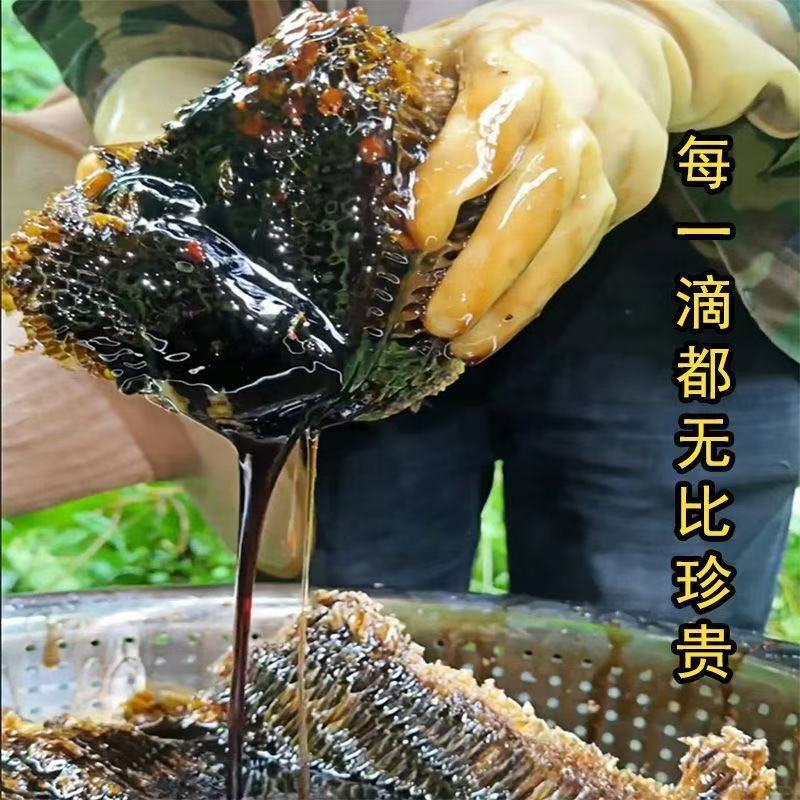 Black honey 500g bottled multi-floral honey source for home baking, drinking, and cooking, dark liquid honey