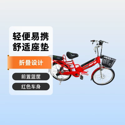 24 Inch 48V Lithium Battery Electric Vehicle Snowmobile Yilan Electric Bicycle Car Electric Motorcycle
