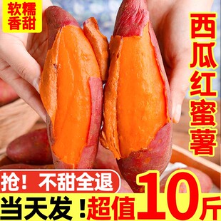 �V�����ϼt����10������t���r���ԷN���r�߲˼t�ĵع����Ŀ�����