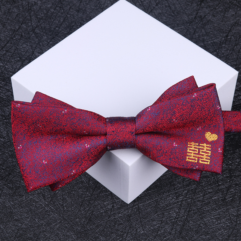 버건디 네이비 블루 패턴 Fangxi 나비 넥타이