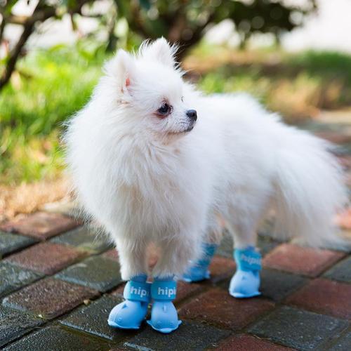 Cartoon puppy shoes Pomeranian Bichon Teddy shoes set of 4 waterproof rain boots foot covers pet silicone rain boots