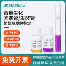 �ȿ�����������đ�}�����ǰl�͹����B�������L���BҺ���c�U�����N