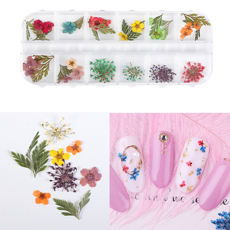 12 cajas de flores secas de manicura set de decoración de uñas pétalos de color decoración de uñas DIY adherencia pegatinas al por mayor