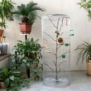 �������B�B�\�ԃr�ȸߌ��þW�������������\�z�W���ܿ�