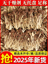 江西特产野生茶树菇干货香菇蘑菇虫草花菌菇类煲汤食材大全