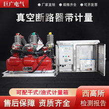户外高压真空断路器ZW32-12FG/630A带计量预付费装置柱上开关