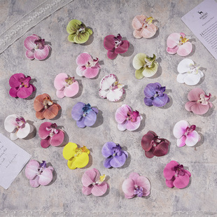 С�����m���^����ٻ���c�廨���Ż���׻����쾰�b��Ĕz����