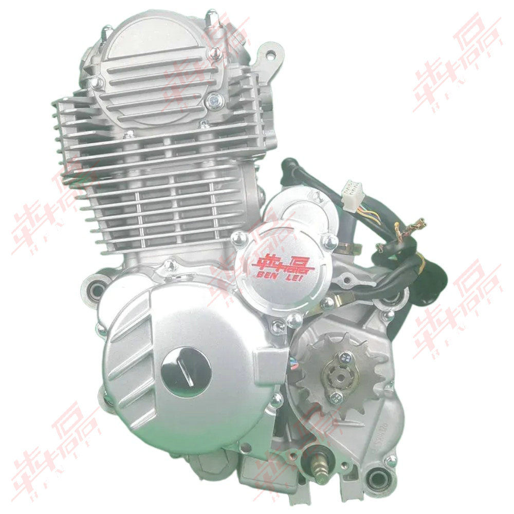 Benlei Cb250-F Cb300-F Zs172Fmm Zs175Fmm Off-Road Motorcycle Engine Assembly
