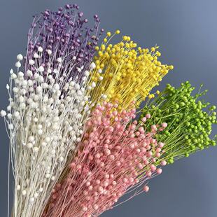 �ɻ���˼�����F���仨���ļҾ��b羳�廨���յ��ߏS��ֱ�N���l