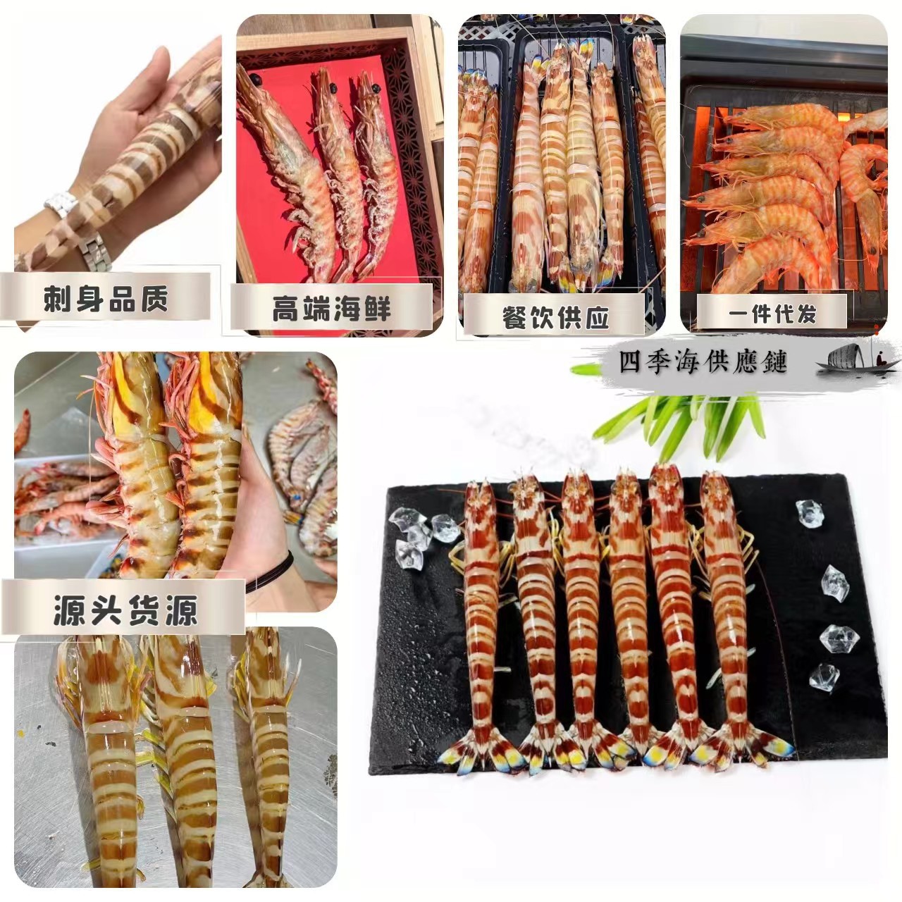 微信图片_20240928212401