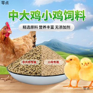 �д��u�w���ϵ��u���uС�u�r�u�������_�����u���Zȫ�r�ߵ������