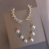 Fashionable earrings, design long zirconium with tassels from pearl, light luxury style, internet celebrity