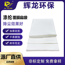 PE涤纶覆膜扁形滤袋除尘布袋防静电集尘袋除尘器过滤网袋吸尘器