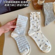 �m���ı���Ů�����m����Ůʿ��Ͳ�m2026�¿��ɫ�Ѷ��L�mŮ