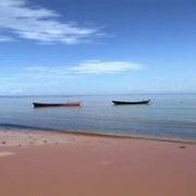 女式衬衫;实木床;男式T恤