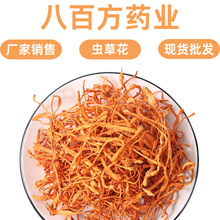 虫草花干货 煲汤材料虫草菇金虫草北虫草500克包邮正品保障