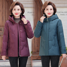 Ʒ�Ƌ����b��q��Ů���L��2023���b��������������q�Ӻ񱣕�����