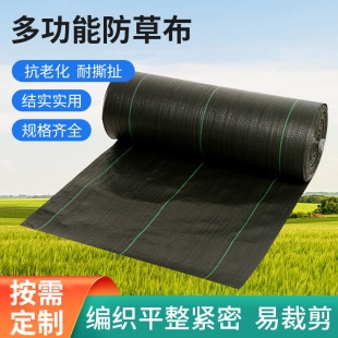 ���ݲ��ڲݲ��r�ù��@�ز���Ĥ�S��ֱ�N�������B�ڲݲ����l�w�ݲ�