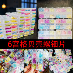 6宮格の箱入りの螺旋の天然の貝殻の切れの手作りのDIYの材料の包みは装飾を象眼してネイルアートをつづり合わせて漆を描きます。