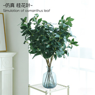 �羳����Gֲ���~���l�҃����b[����c��Y�廨�[���Ĕz����