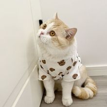 韩国猫咪衣服夏季薄款防掉毛布偶小奶猫可爱宠物狗狗猫猫衣服