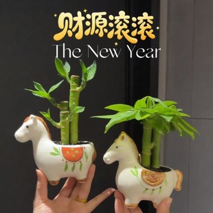 �R�ϰlؔС�R�¿�lؔ��С�����k���҃�����Gֲ����ؔ�R����ֶY