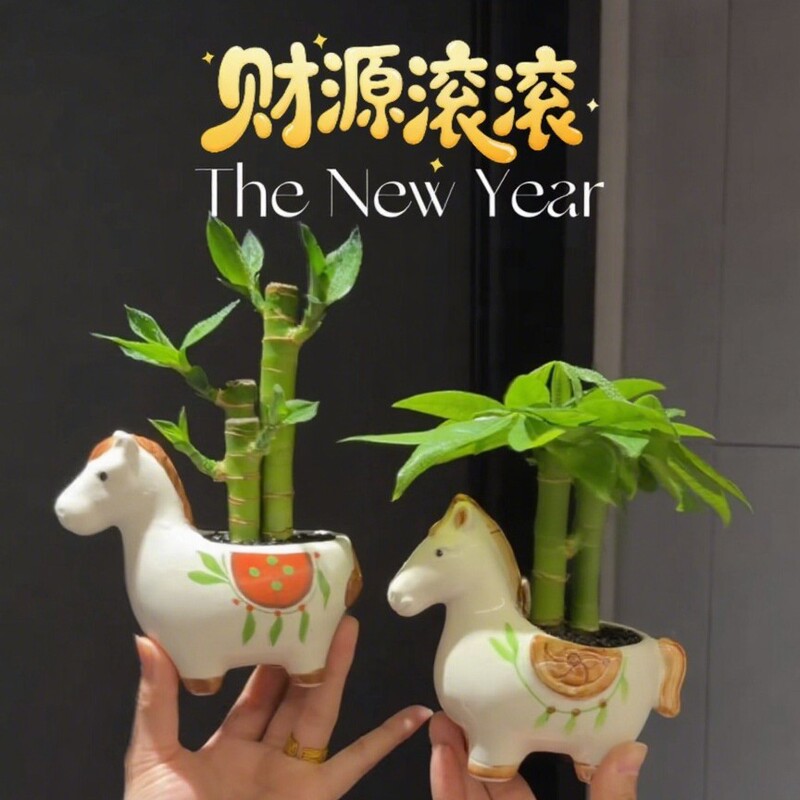 New Style Fortune Tree Small Potted Plant for Immediate Wealth, Desktop Green Plant for Office, Money-Attracting Gift for the Year of the Horse New Style Fortune Tree Small Potted Plant for Immediate Wealth, Desktop Green Plant for Office, Money-Attracting Gift for the Year of the Horse