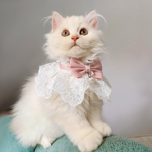 Cat Clothes Summer Thin Ragdoll Cat Kitten Milk Cat Kitten Skirt Princess Skirt Cat Summer Collar Scarf