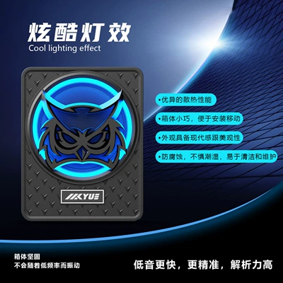 Customized Car Audio Processing Car speaker/subwoofer