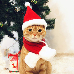 Double-sided velvet pet Christmas scarf pet hat pet supplies factory direct sales can be purchased separately