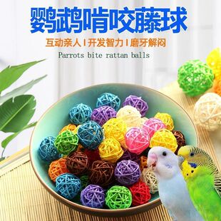 �W�^�B��������ҧӖ��Ғʳ��������_�lӖ�����B����