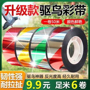 ������6�������B�s�B���r���ͥ�b��ˮ�Ӻ�����W��ʎ����B
