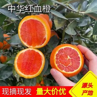 ���rˮ���[��ե֭�������w���A�tѪ�ȼ~�ɠ��@�t���¼t����Ě��