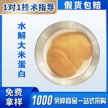 供应食品级发泡蛋白粉 水解大米蛋白 量大从优