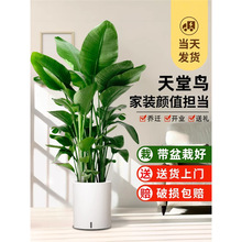 B͏dk҃ȴ;GֲB׻ȩش~ֲ