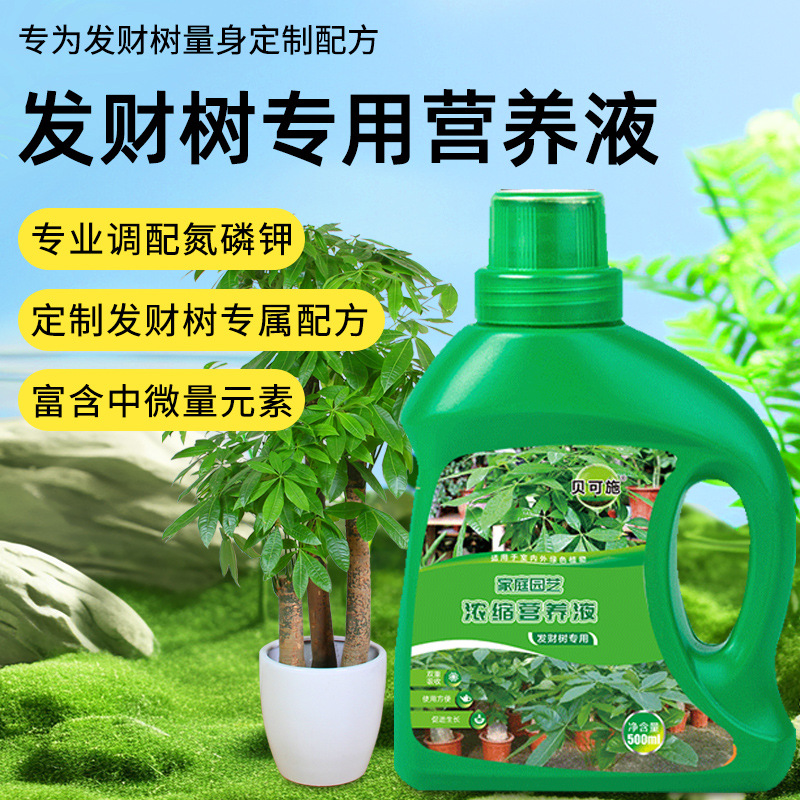 贝可施发财树专用营养液体肥料水培发财树蔬菜绿植花卉贝可施批发
