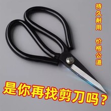 ÏNùIòP䓶๦ܲÿpƤﲼ~^