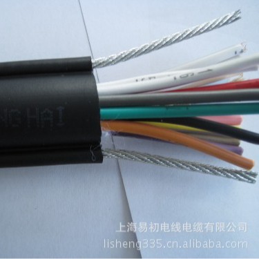 双钢丝电动葫芦随行起重机线缆 RVV2G 3*4MM2 葫芦电缆厂家直供