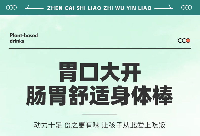 Hawthorn & Chicken Gizzard Lining Compound Drink (Shan Zha Ji Nei Jin) — 500ml Herbal Fruit Beverage quality and texture
