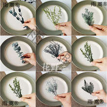 ��Ұ��֧|���D÷����ǧ�ӽ��������ɻ�diy���Ͻ�ָ�����~ֲ��˱�