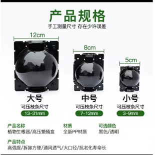 ֲ�ﷱֳ�߉����������߿Չ�֦������Ǥ��޽Ӻ�����ظ���ֳ��