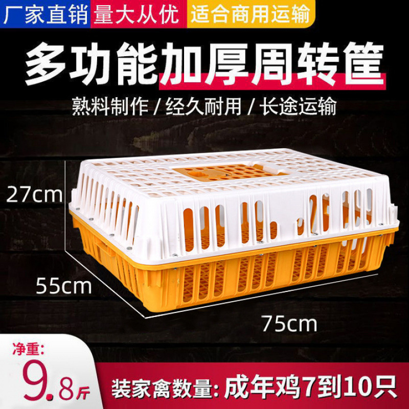 4.9kg 금괴 모양의 닭장 - 노란색과 흰색