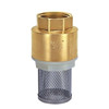 brass 304 Stainless steel Shading Suction valve Water pump check valve vertical Check valve