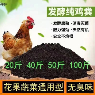 ���u�S�l���ЙC���ϷN�˼��àI�B���߲˹��仨�ܻ�Ϸ�ţ��S�羳