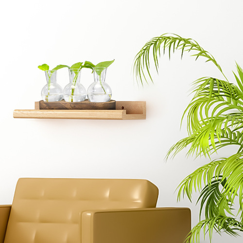 Circular Acrylic Planter with Water Cultivation Green Plant Office Living Room Decor Wooden Base Transparent Plant Pot Ornament