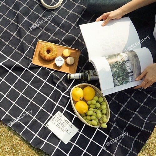 Picnic blanket style outdoor spring outing excursion camping picnic mat dormitory desk photography background cloth
