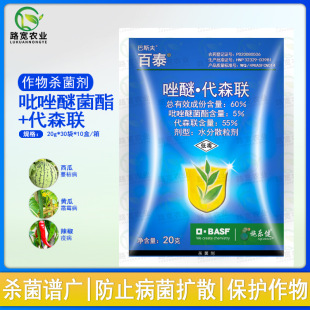 ��˹���̩ �����Ѿ�����ɭ60%����˪ù���߲��rș������20��